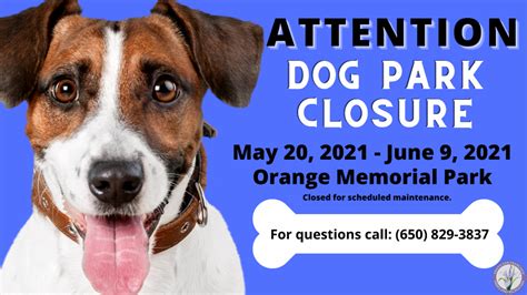 Orange Memorial Park Dog Park