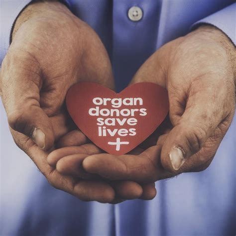 Organ Transplantation Support