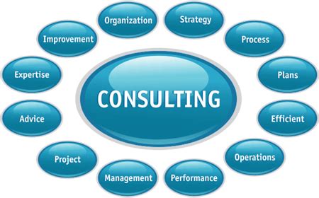 Organizational Development Consultant
