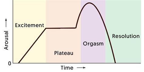 Orgasm Response