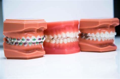 Orthodontists in medical field