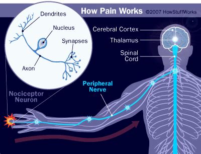 Blocking Pain Signals