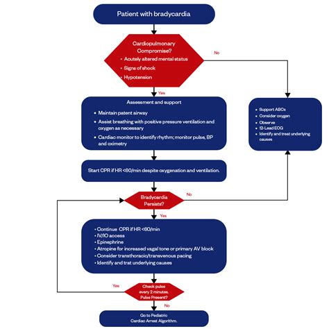 PALS Algorithm Summary