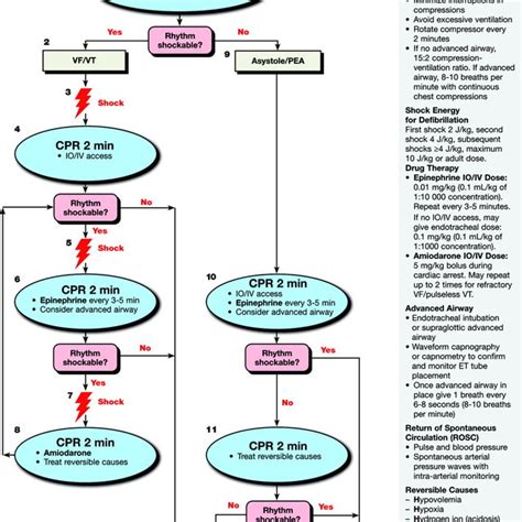 PALS Algorithm Overview