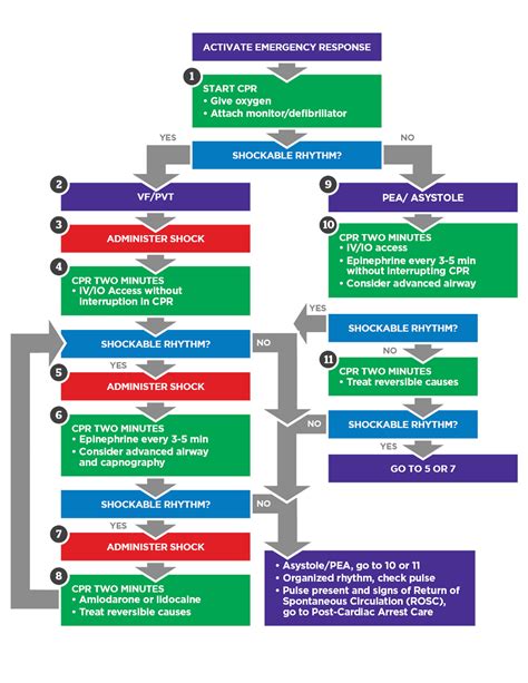 PALS Cardiac Arrest Management