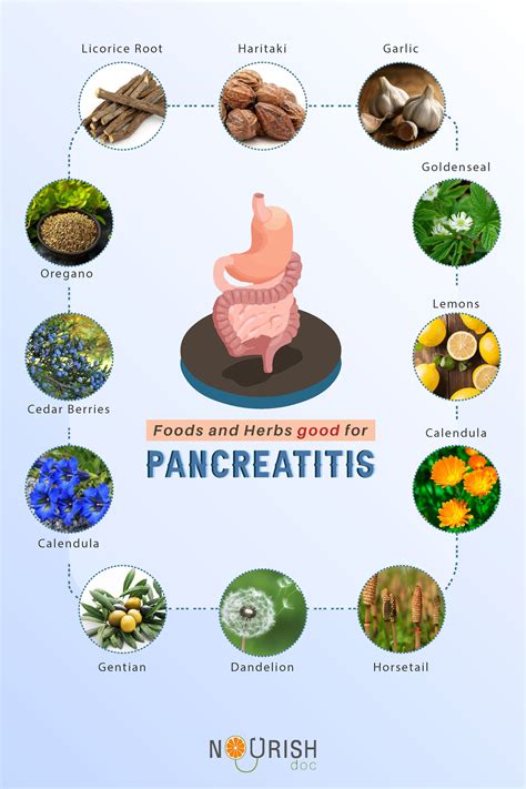 Pancreatitis Diet