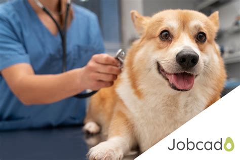 PET Jobs