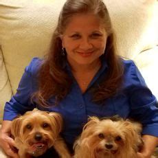 Pet Sitter or Dog Walker