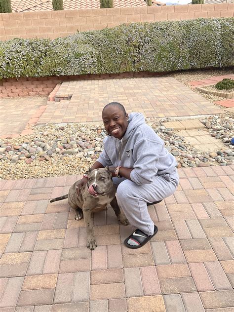 Pet Sitter Las Vegas