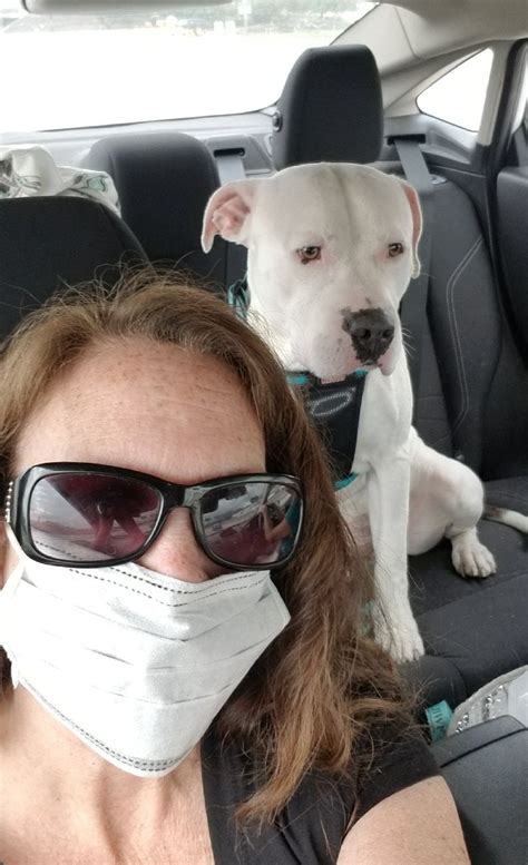 Pet sitter in Los Angeles
