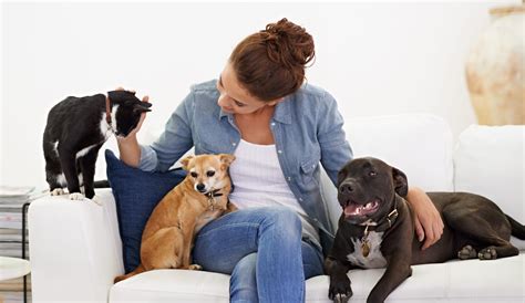 Pet sitting