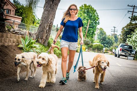 Pet Sitting and Dog Walking