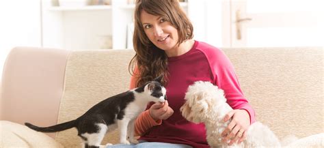 Pet Sitting Same Day