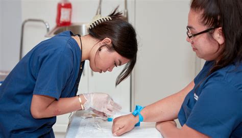 Phlebotomy Specialist at UCLA Health