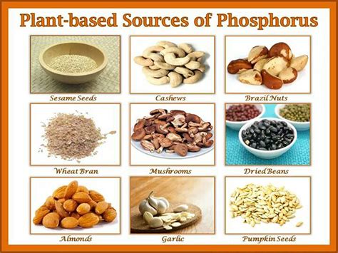 Phosphorus-rich foods