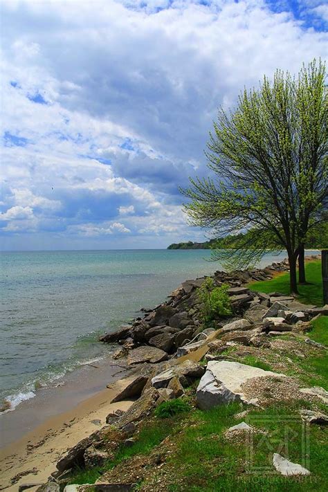 photography in Union Bay Natural Area