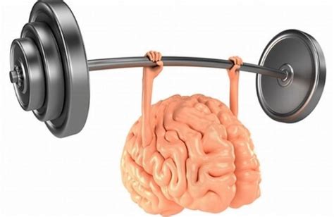 Physical and Mental Stamina