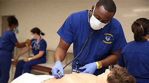 Physician Assistant Education