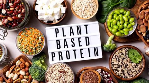 Plant-based protein myths