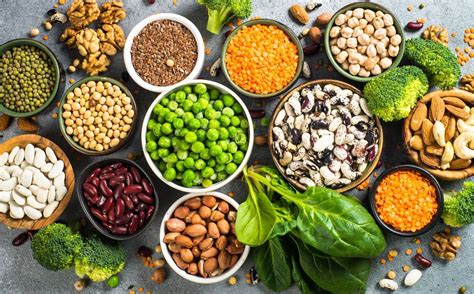Plant-based protein sources