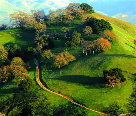Pleasanton Ridge Regional Park