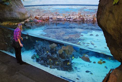 Point Defiance Zoo & Aquarium