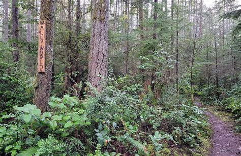 Port Orchard Hiking Trails