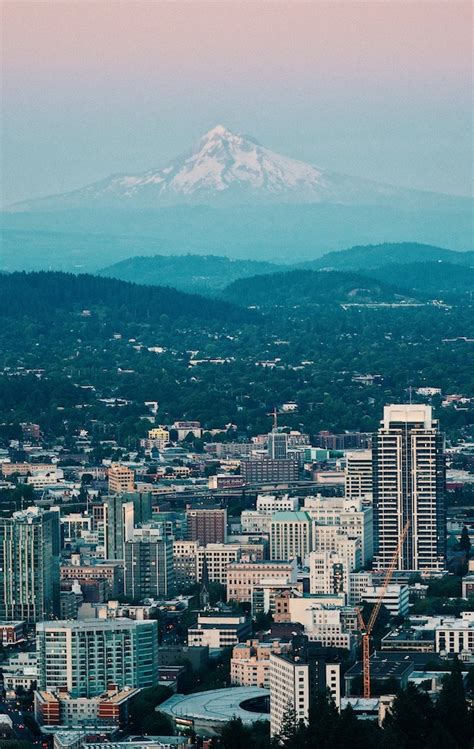 Portland Tips