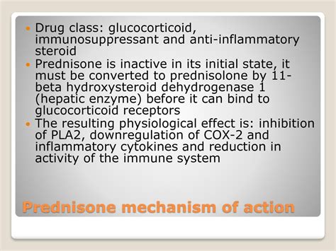 Prednisone mechanism of action