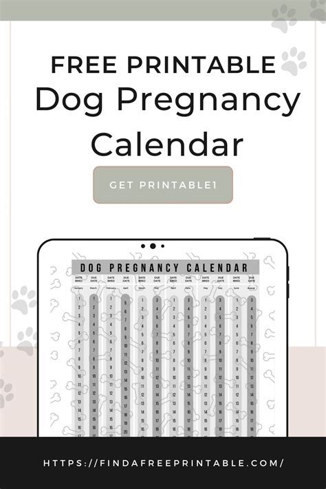 Pregnancy Calendar