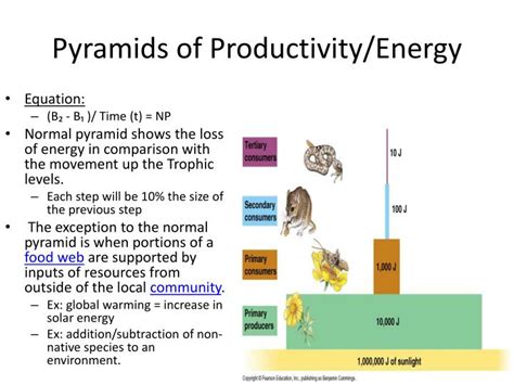 Productivity and Energy