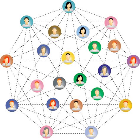 Professional Network