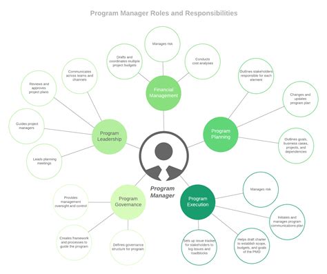 Program manager role