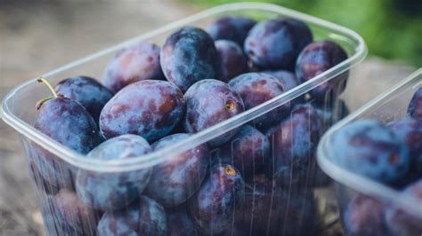 Prune Intake for Constipation Relief