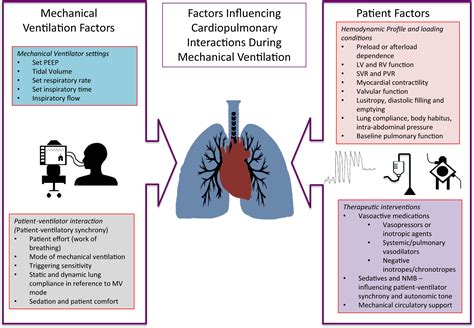 Pulmonary Function Optimization