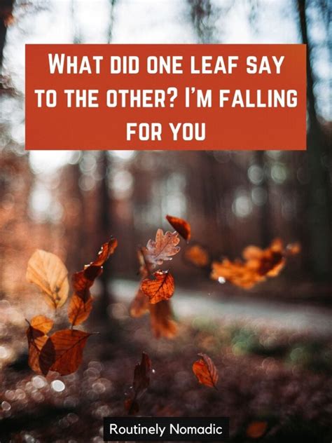 Punny Fall Captions