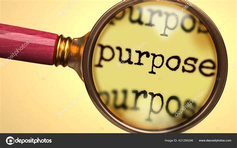 Purpose of Descriptive and Inferential Statistics