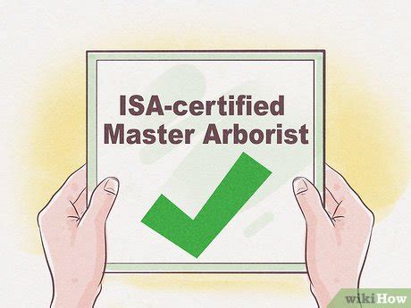 Pursue Specialized Certification