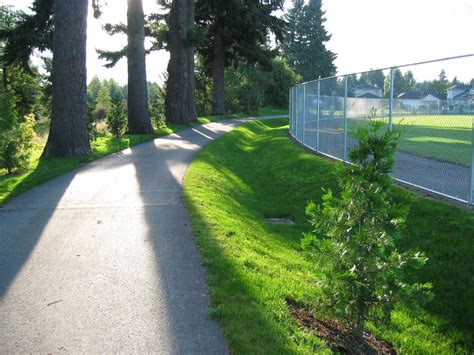 Rainier Vista volunteers