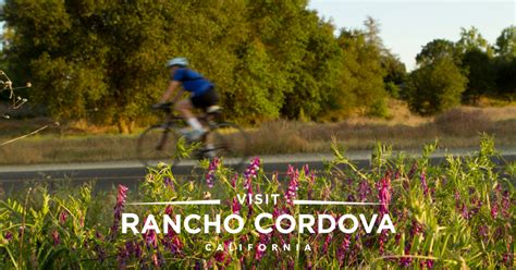 Job Market Overview in Rancho Cordova