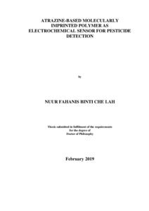 Researcher