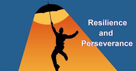 Resilience and perseverance