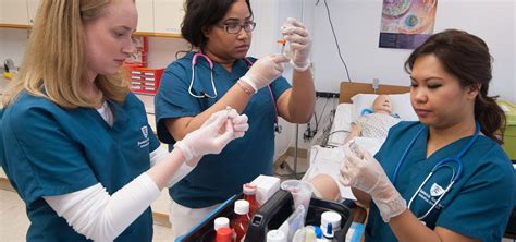 RN Education and Training