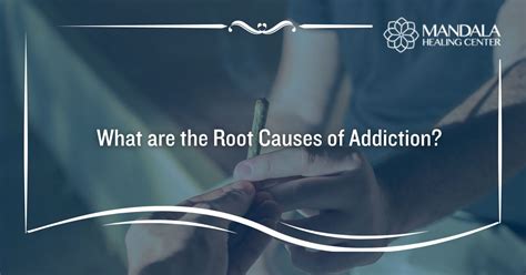 Root Causes Addiction
