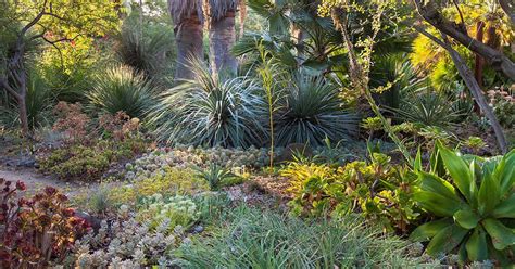 Ruth Bancroft Garden