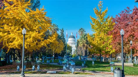 Sacramento Autumn