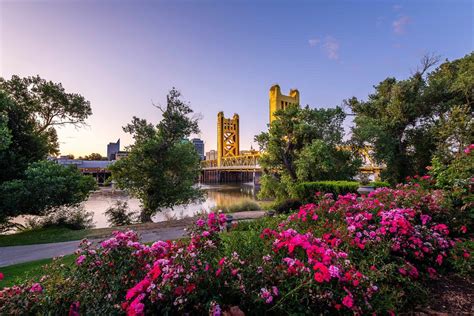 Sacramento Summer