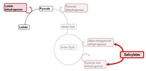 Salicylate Poisoning