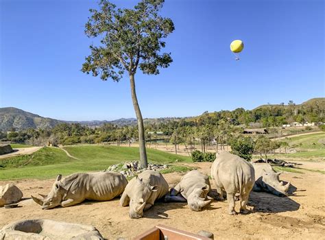 San Diego Zoo Safari Park