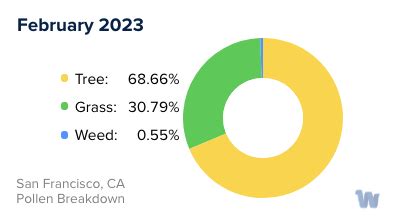 San Francisco allergy count